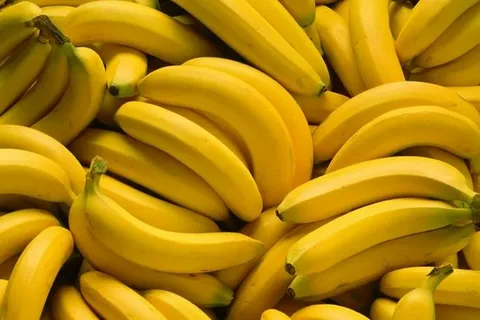 تصویر 2 از فروش کنسانتره موز + قیمت خرید به صرفه